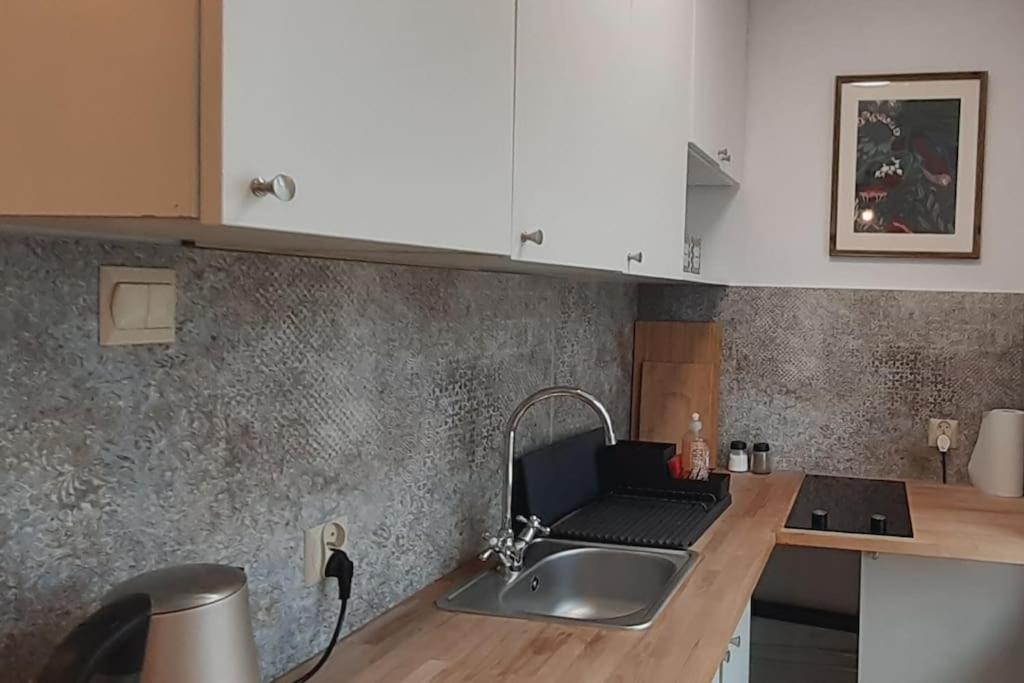 Lemuria Apartament Szkolna Centrum ليجنيكا المظهر الخارجي الصورة