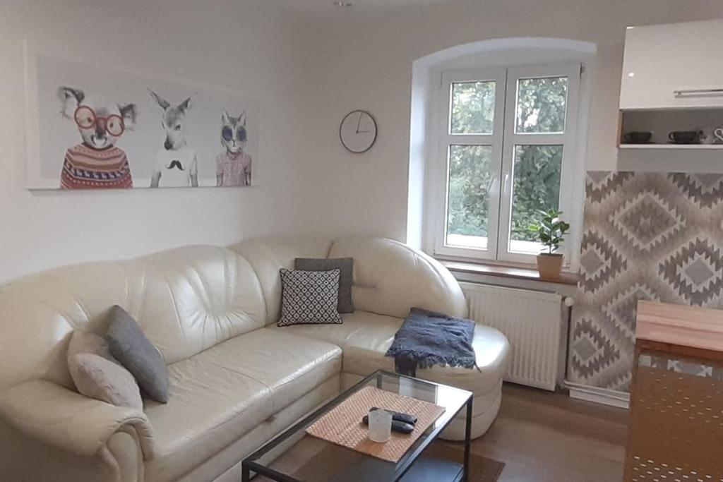 Lemuria Apartament Szkolna Centrum ليجنيكا المظهر الخارجي الصورة