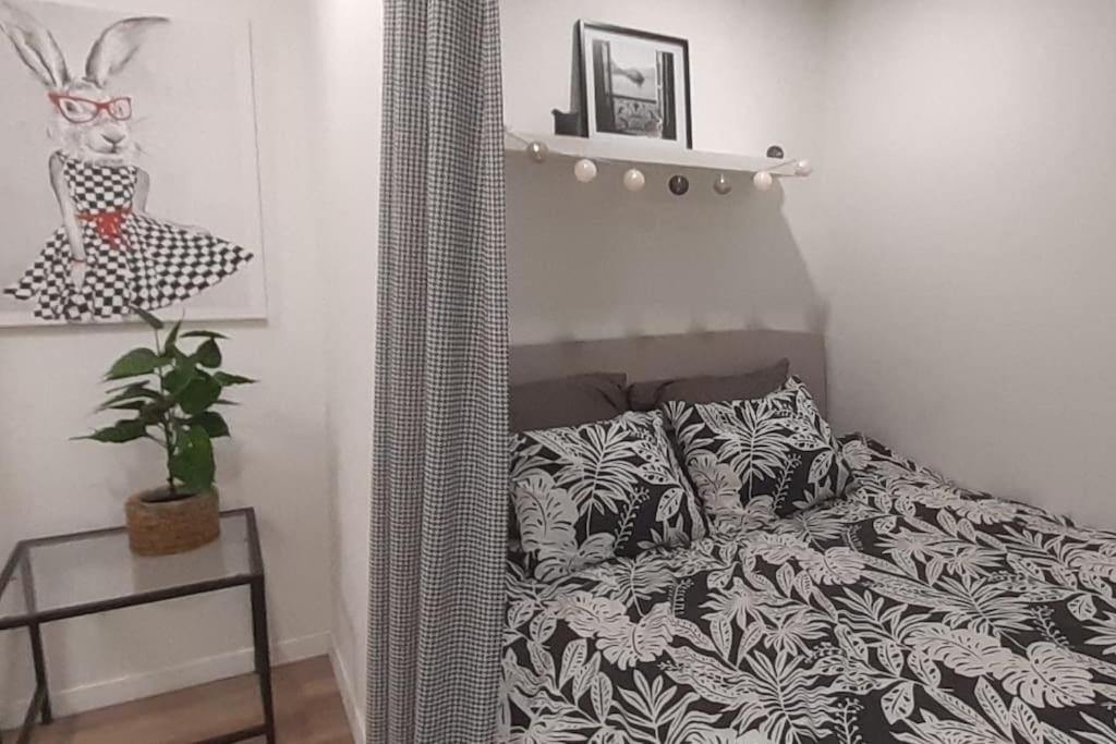 Lemuria Apartament Szkolna Centrum ليجنيكا المظهر الخارجي الصورة