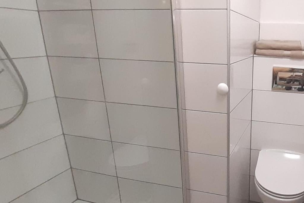 Lemuria Apartament Szkolna Centrum ليجنيكا المظهر الخارجي الصورة